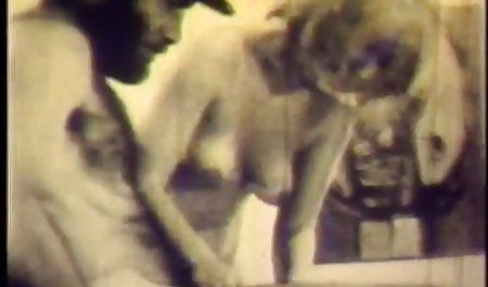 الأسود طياظ عربية